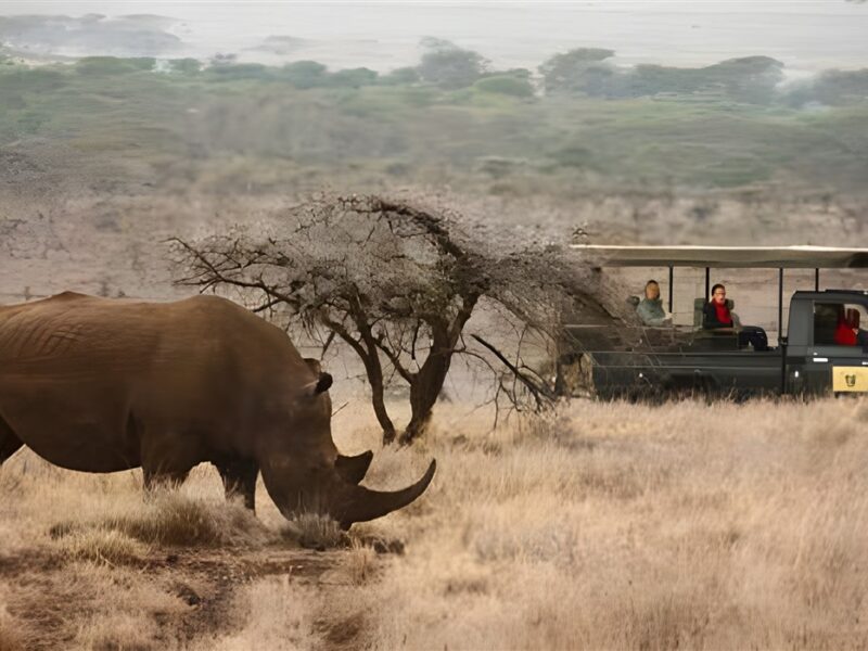Game drive