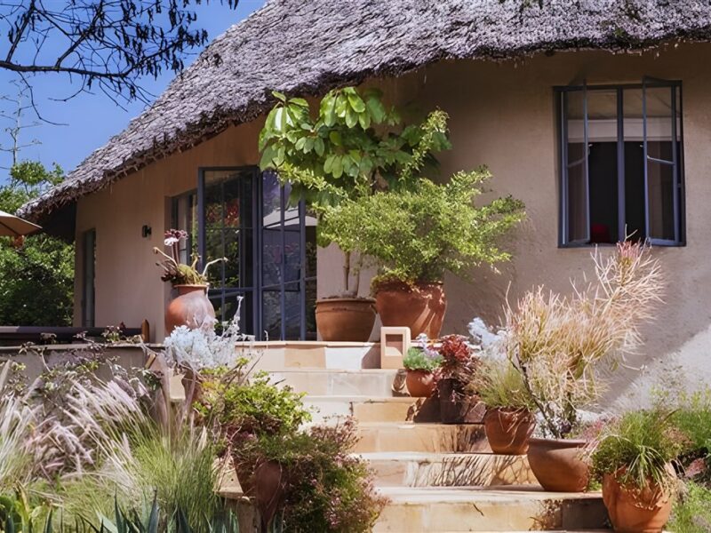 Outside area of the lodge