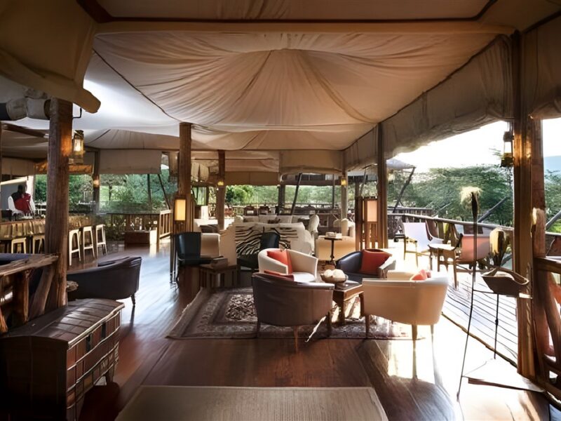 Lounge and bar