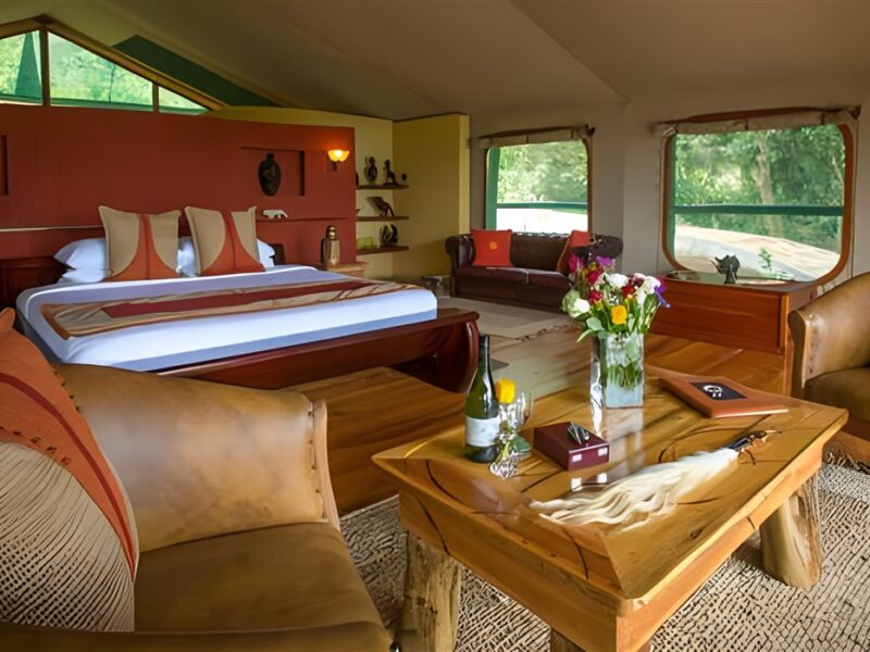 Guest tent