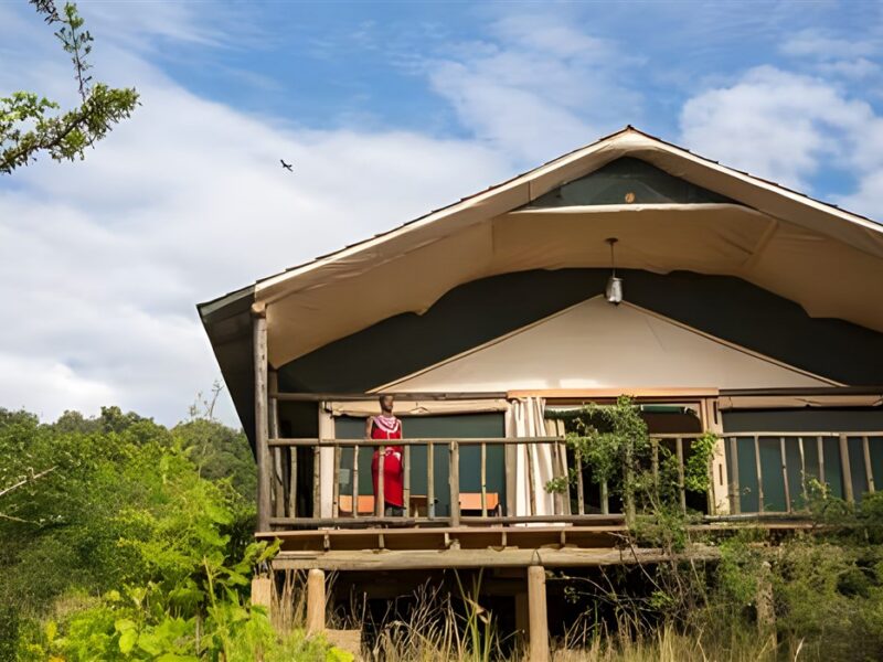 Guest tent exterior
