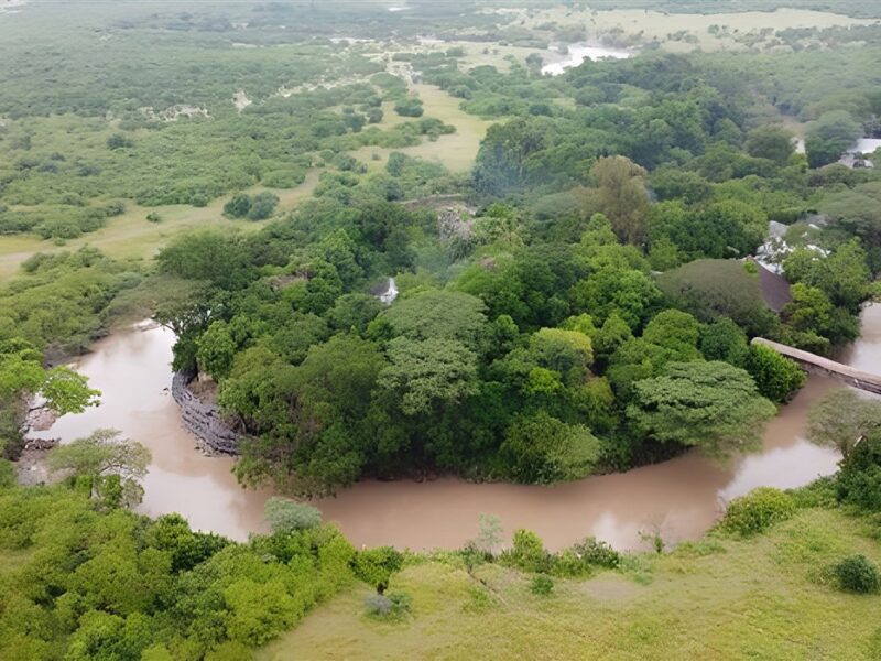 Aerial view of campsite