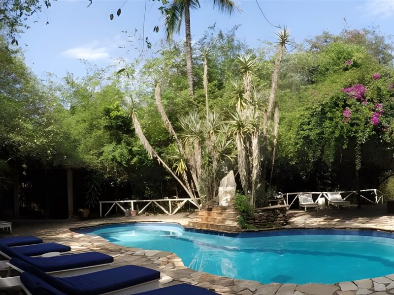 Camp pool