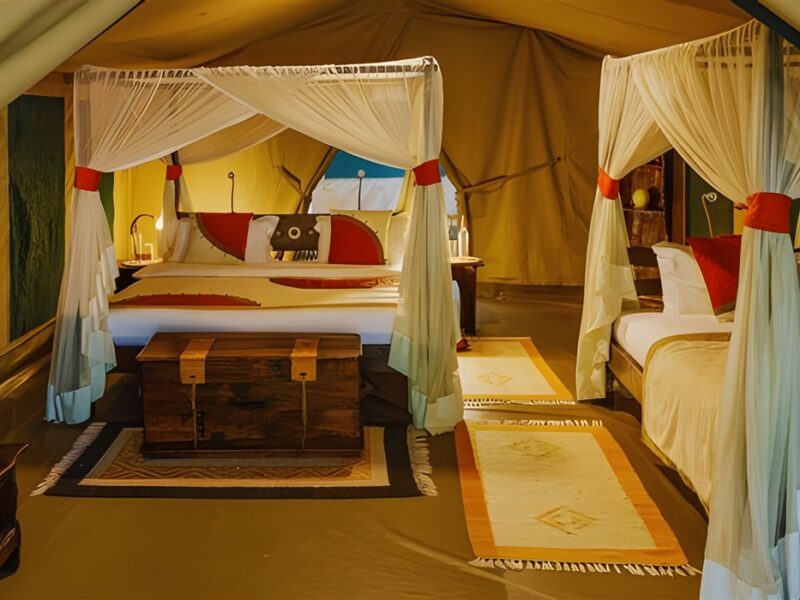 Safari Tent
