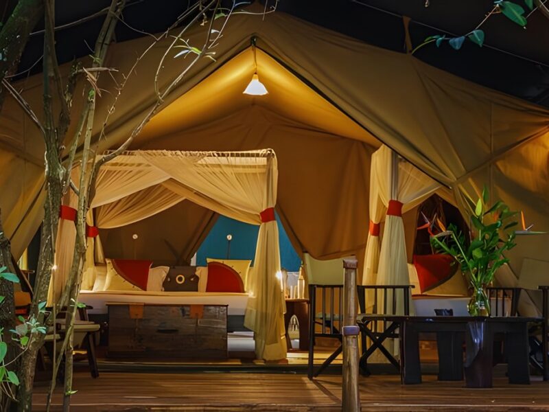 Safari Tent exterior