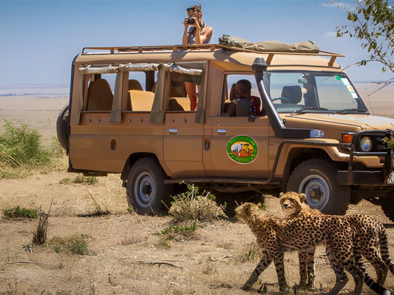 Game Drive
