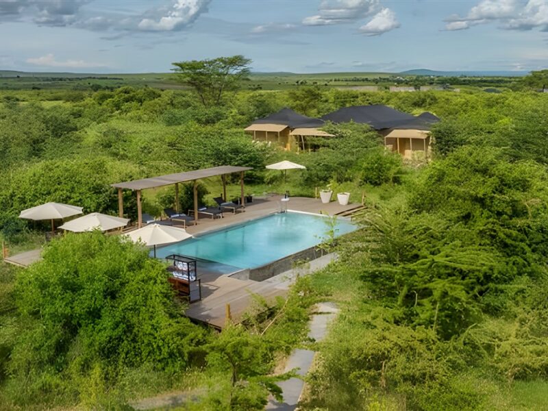Pool and Spa aerial veiw