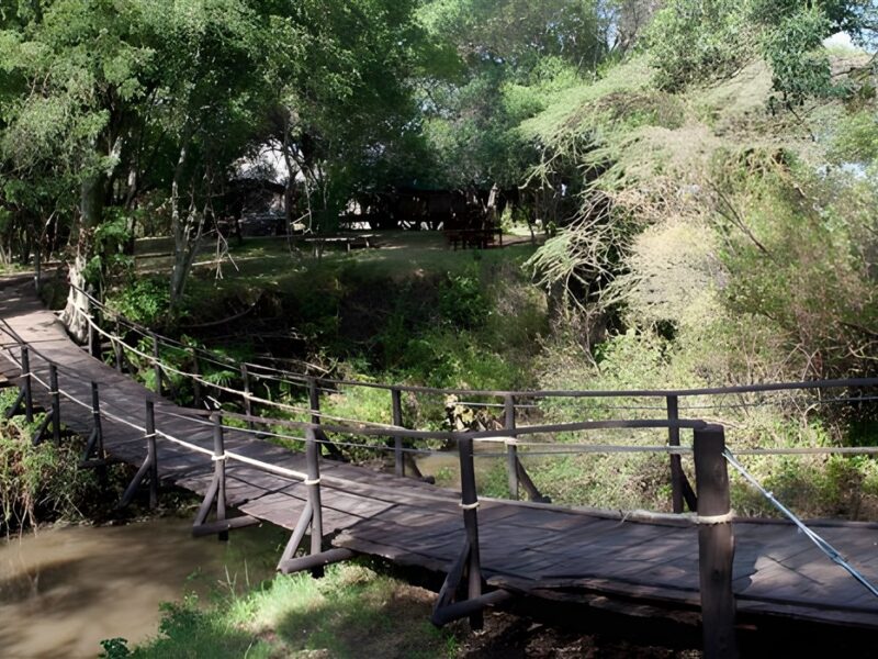 Bridge