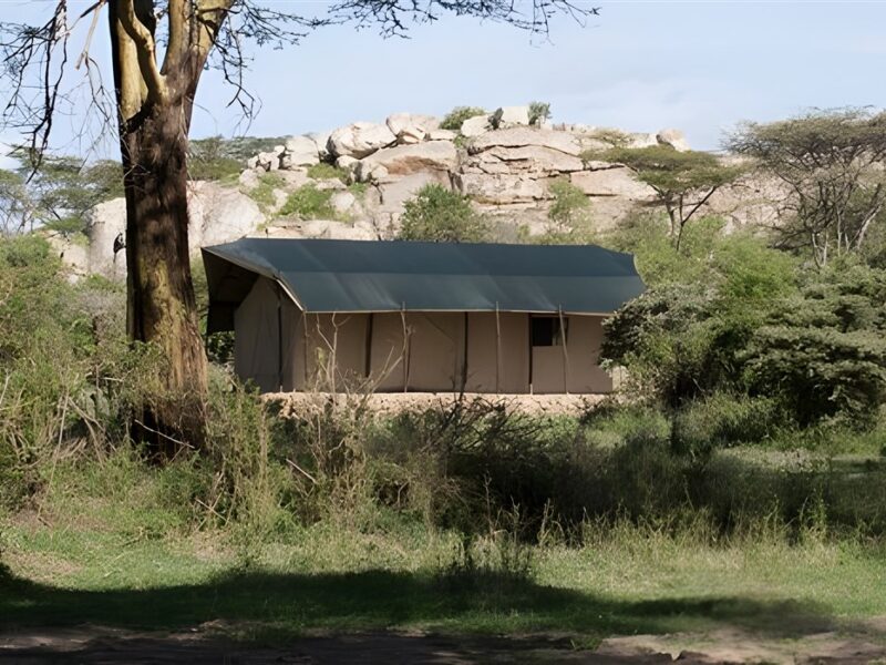 Outside tent