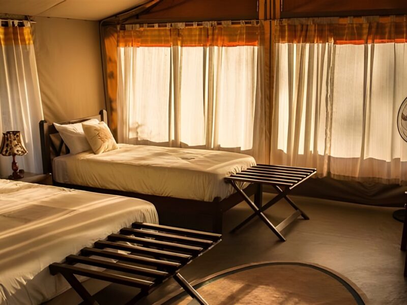 Guest Tent