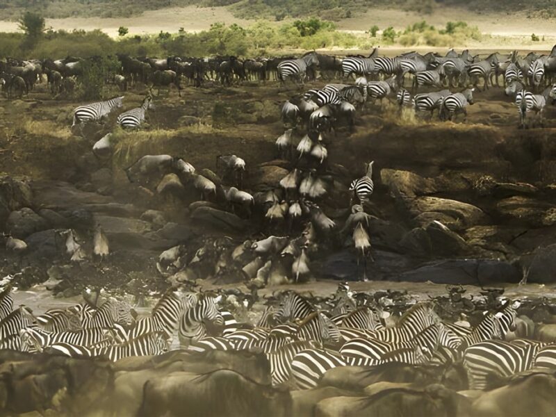 Great Migration