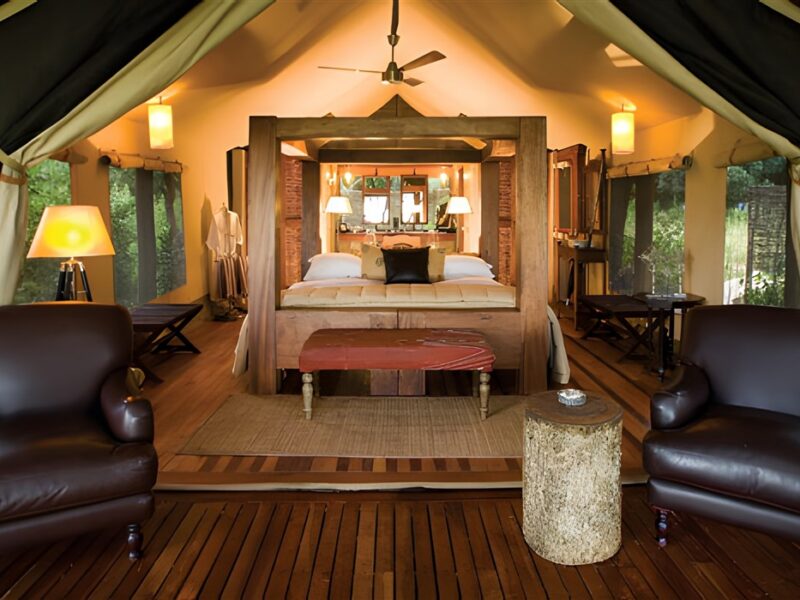 North Camp room