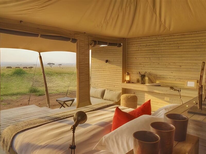 Superior view tent