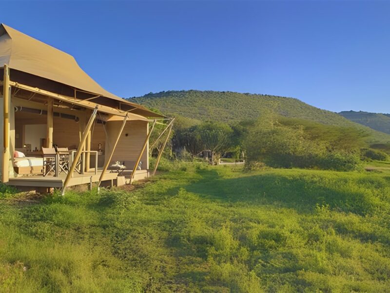 View of Superior room tent