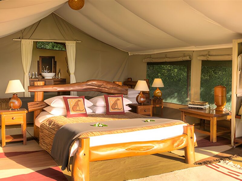 Family tent