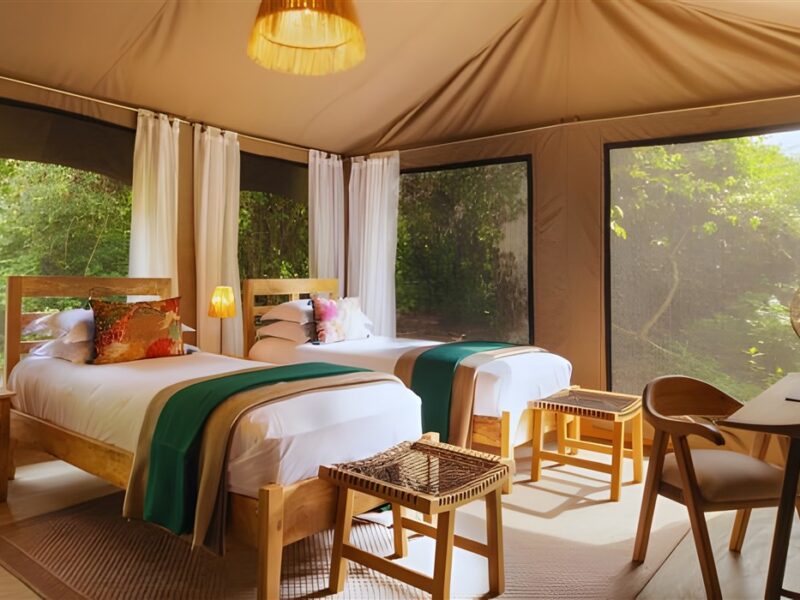 Twin tent