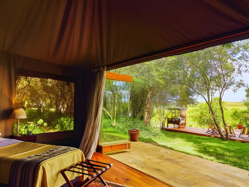 Twin bed tent