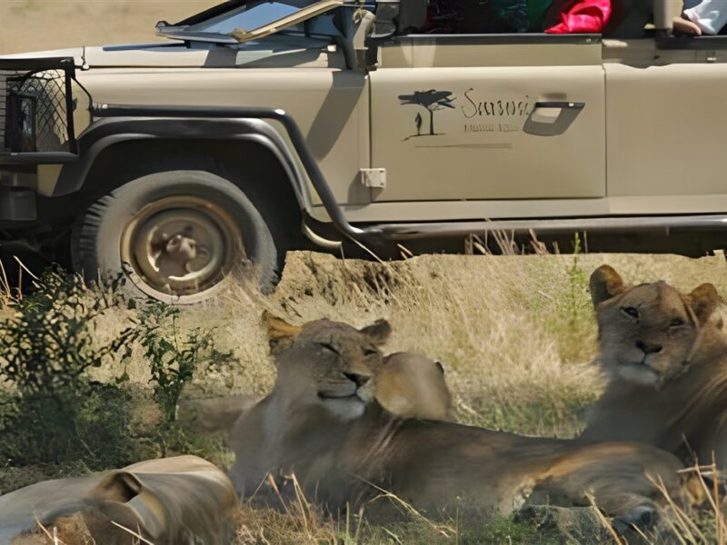 Game drive