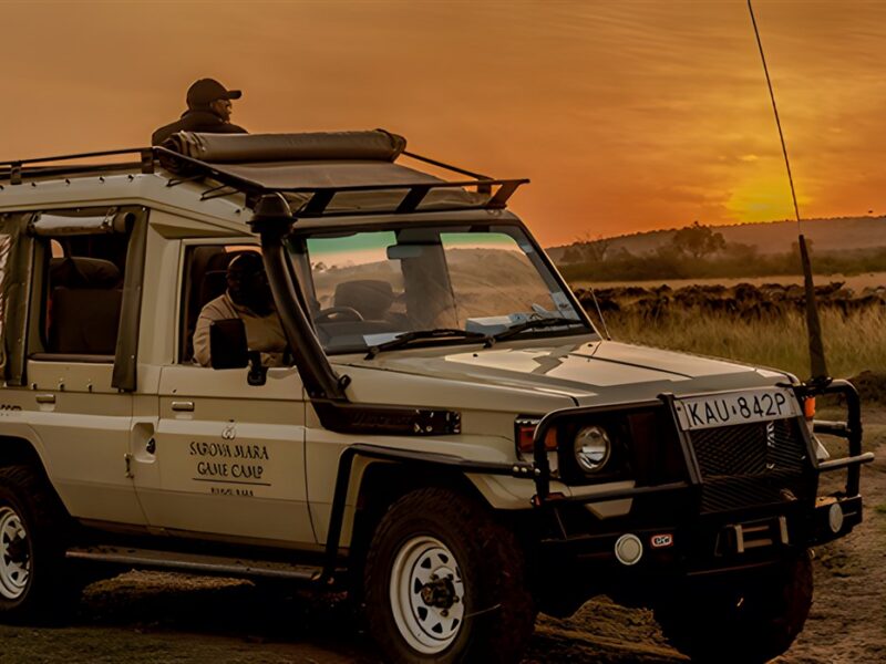 Game Drive