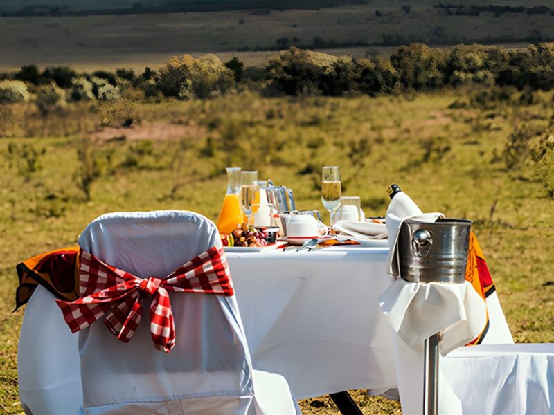 Bush Breakfast