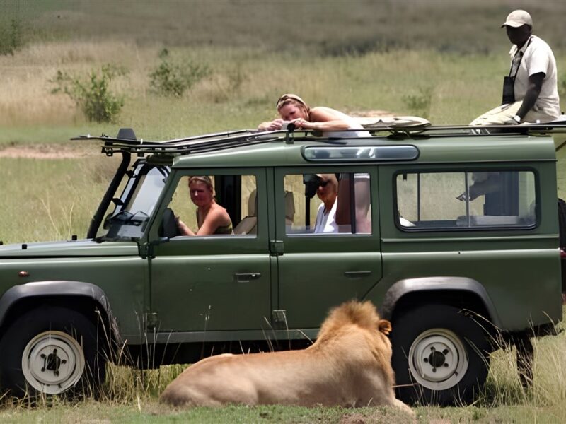 Game drive