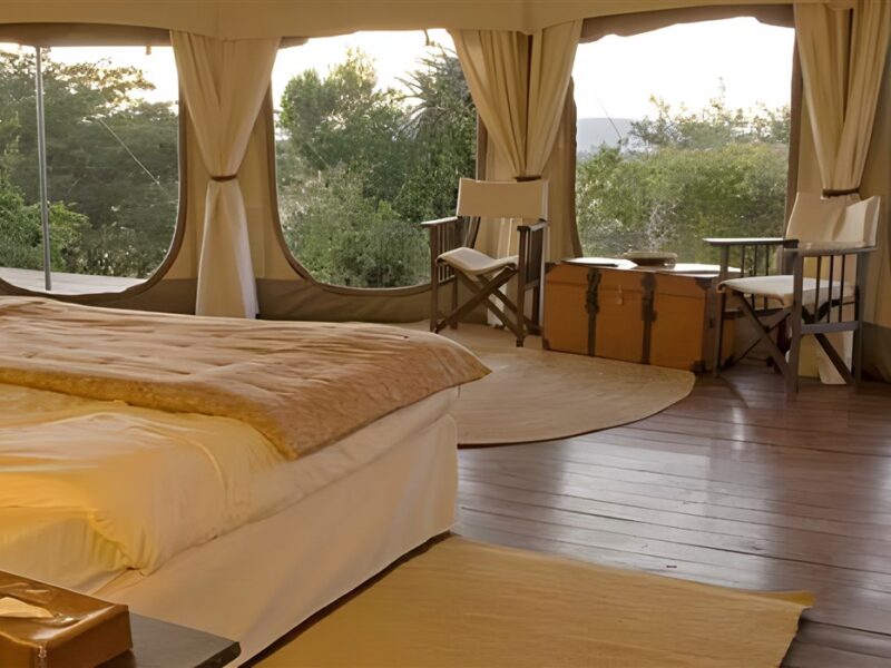Guest tent