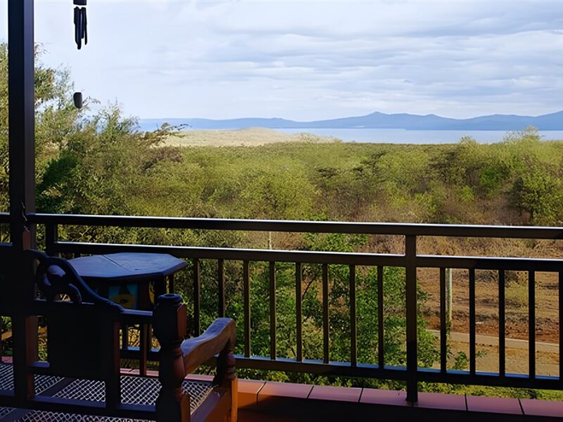 View from deck