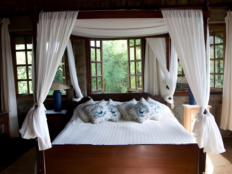Single room.