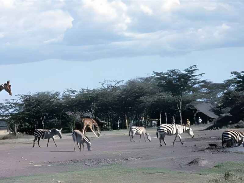 Waterhole