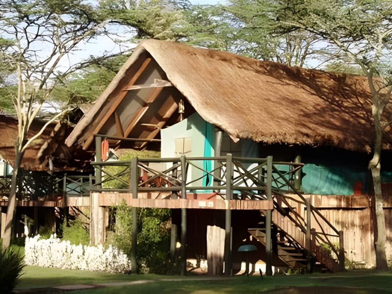 Tent exterior