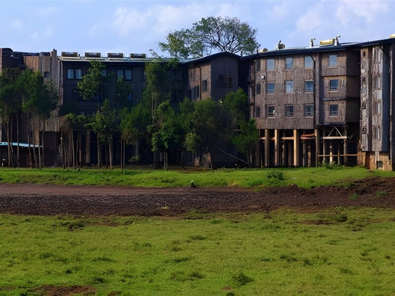 Treetops Lodge