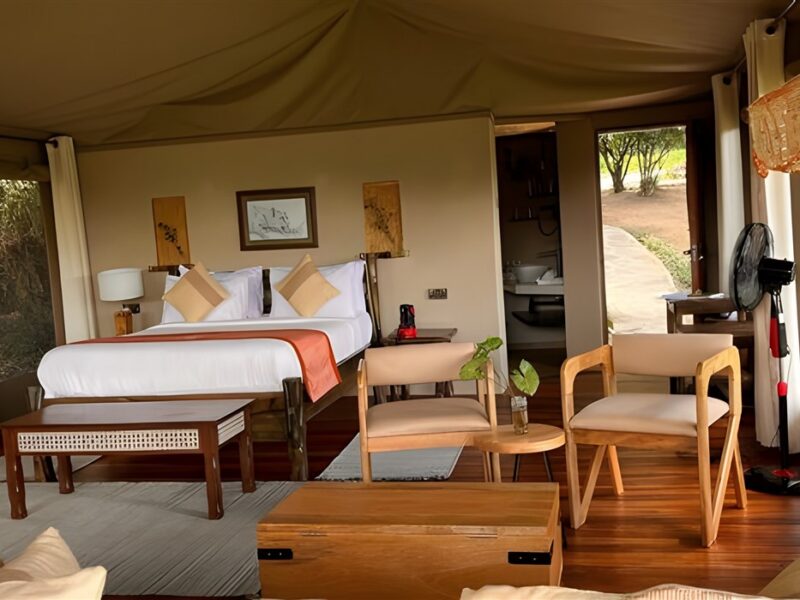 Tent