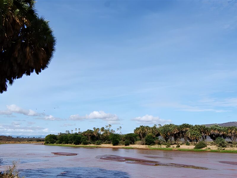 Ewaso Nyiro River