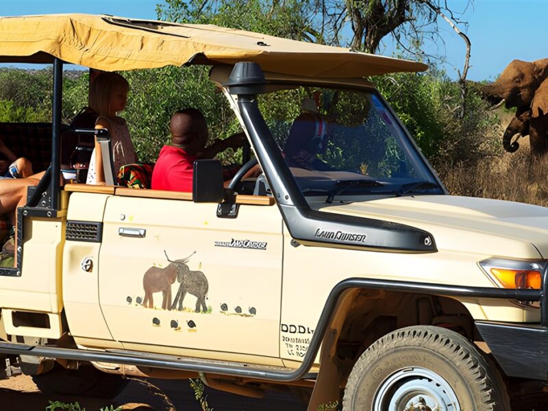 Game drive