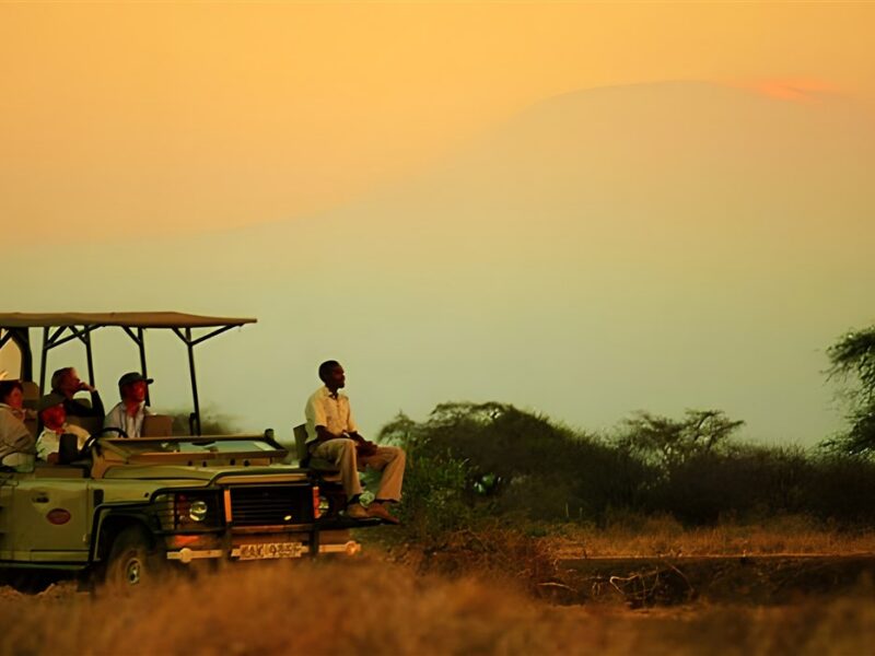 Evening Game Drive