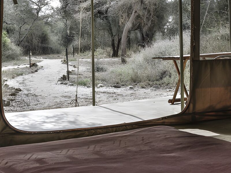 Tent
