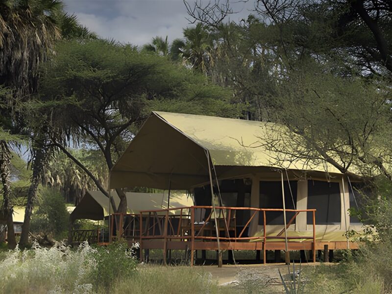 Tent exterior