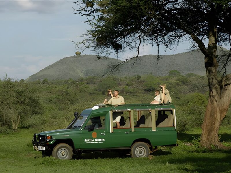 Game drive