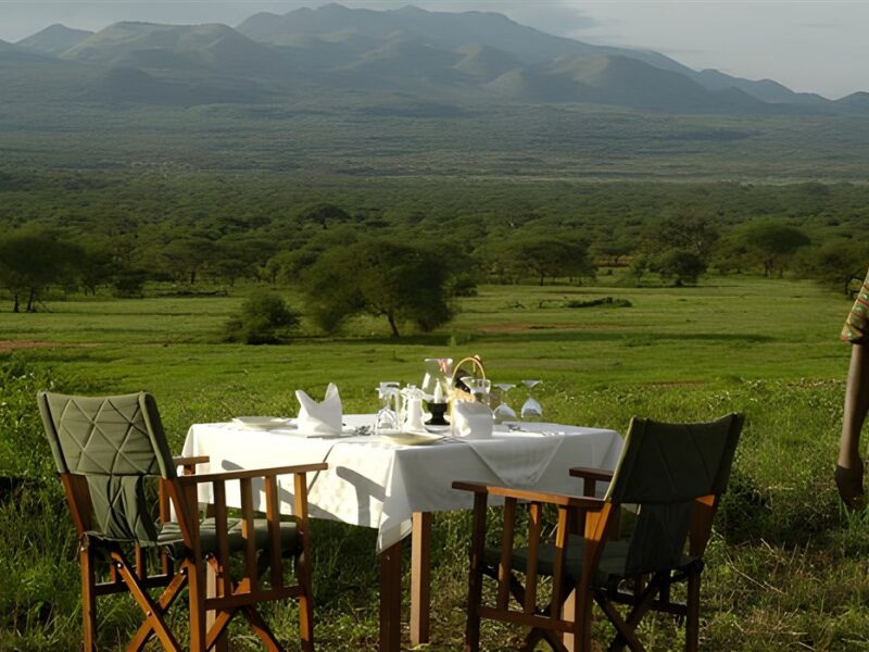 Bush dinner