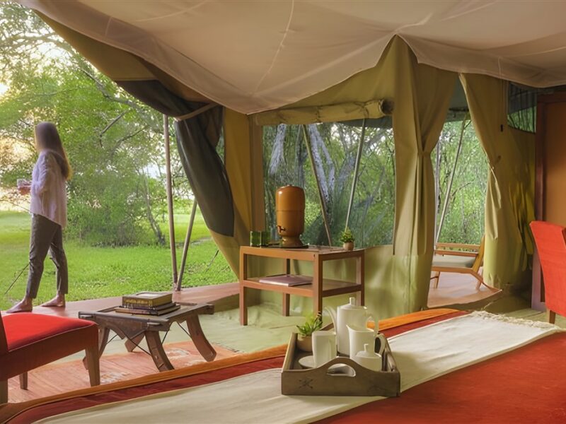 Camp with outside view