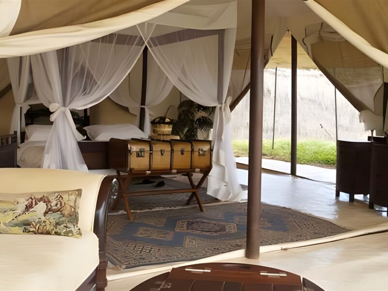 Guest tent