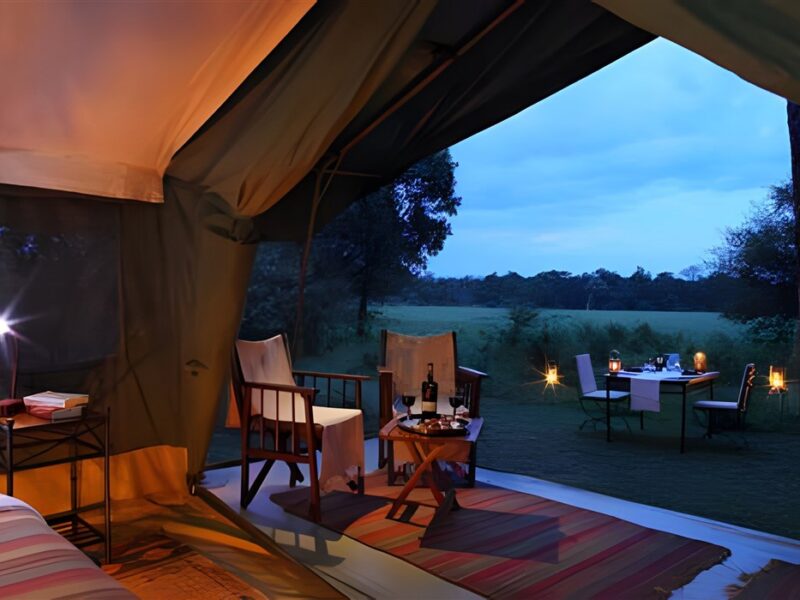 Guest tent