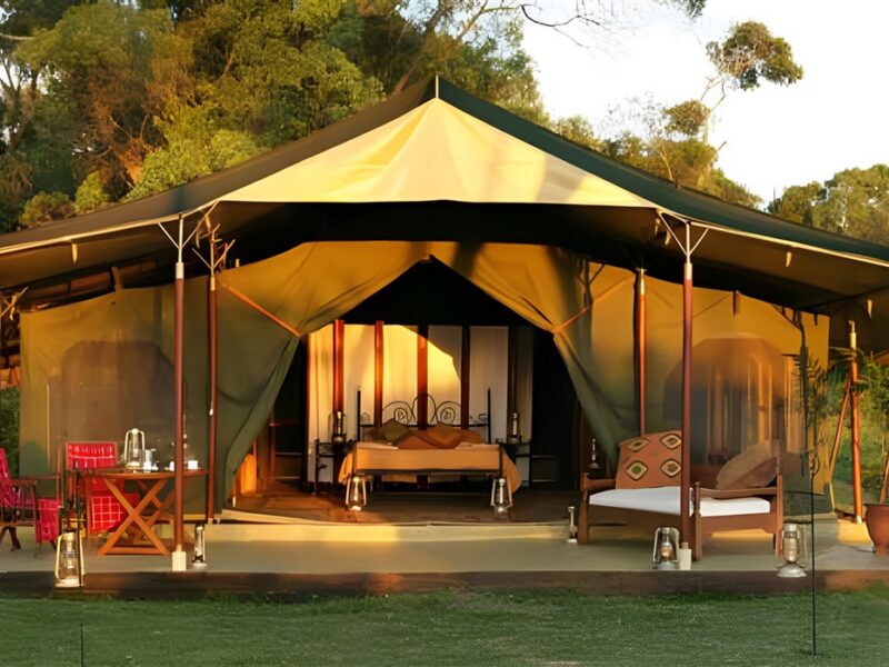 Honeymoon or family tent