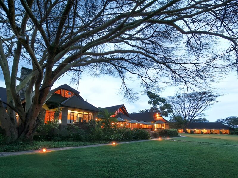 Garden view