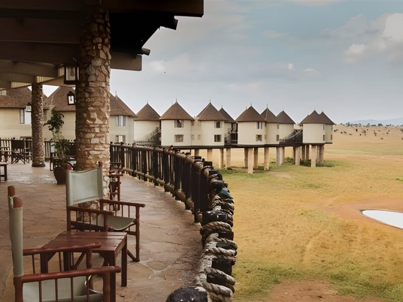 Terrace overlooking waterhole