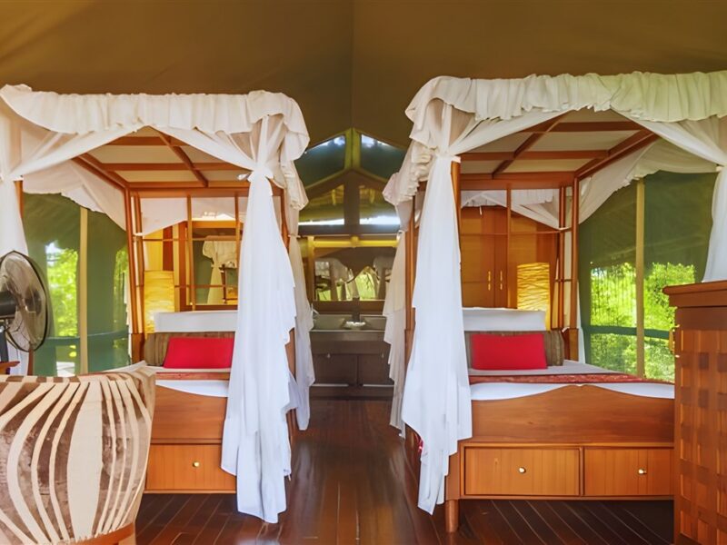 Twin tent