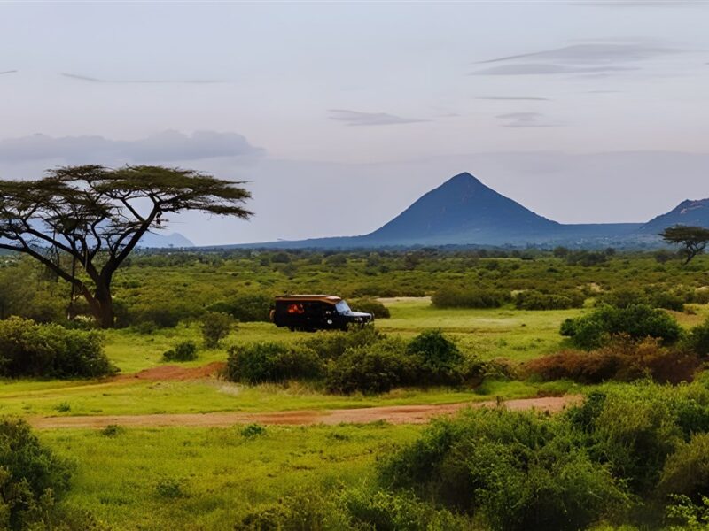 Game drives