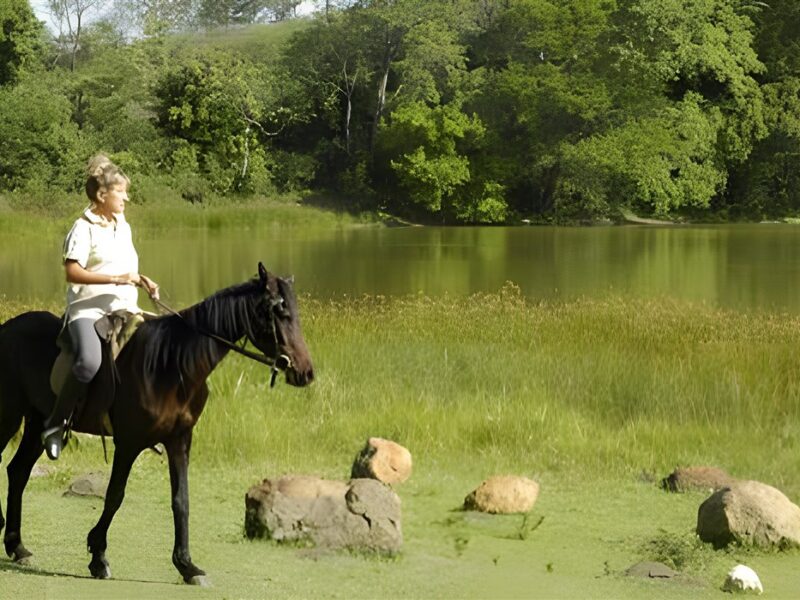 Horse riding by the lake
