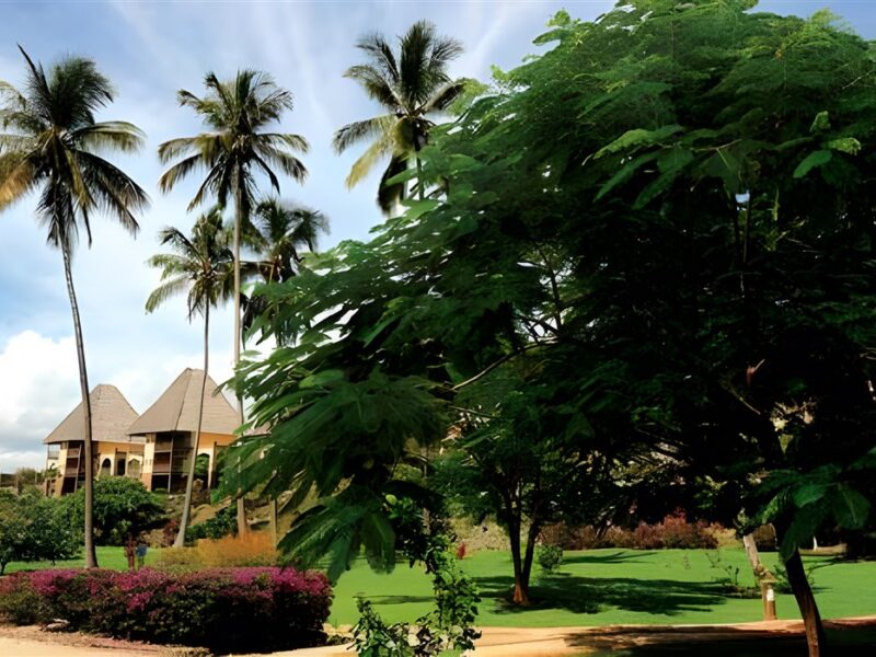 Grounds