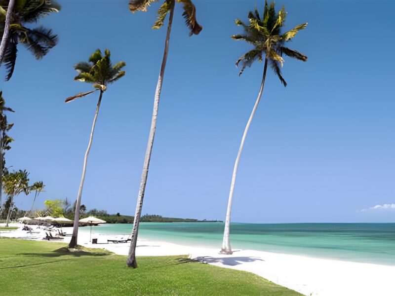 The Beach